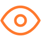 visionicon